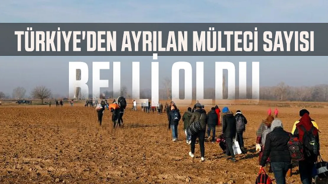 Türkiye'den ayrılan göçmen sayısı belli oldu!
