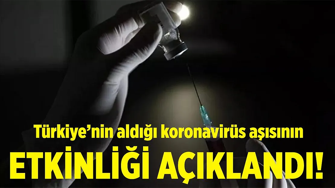 Türkiye'nin aldığı koronavirüs aşısının etkinliği belli oldu!