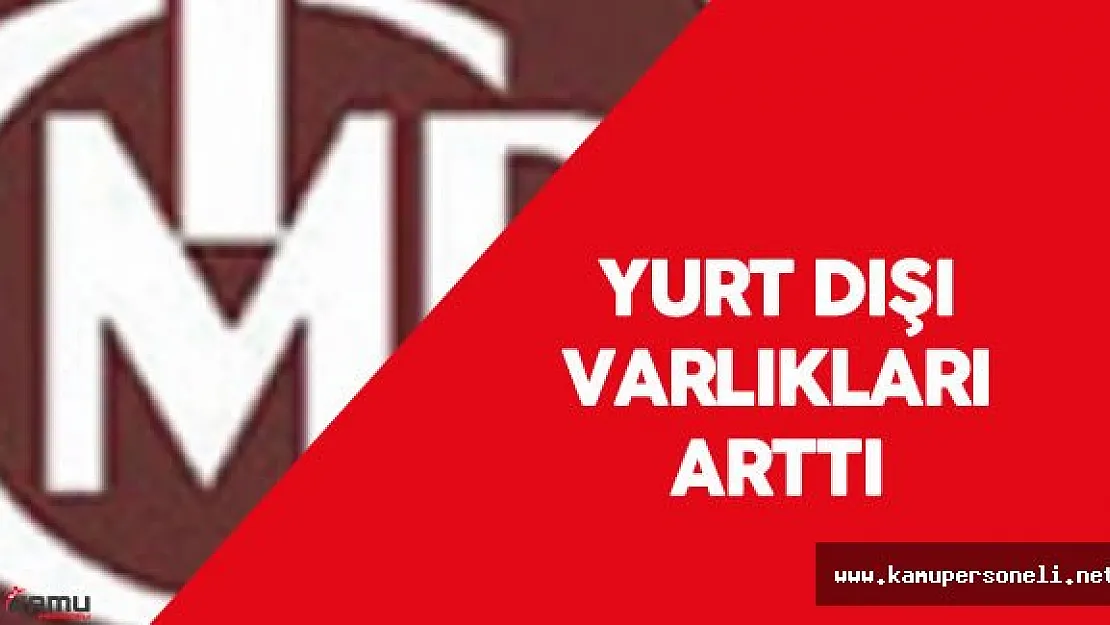 Türkiye'nin Yurt Dışı Varlığı Artış Gösterdi