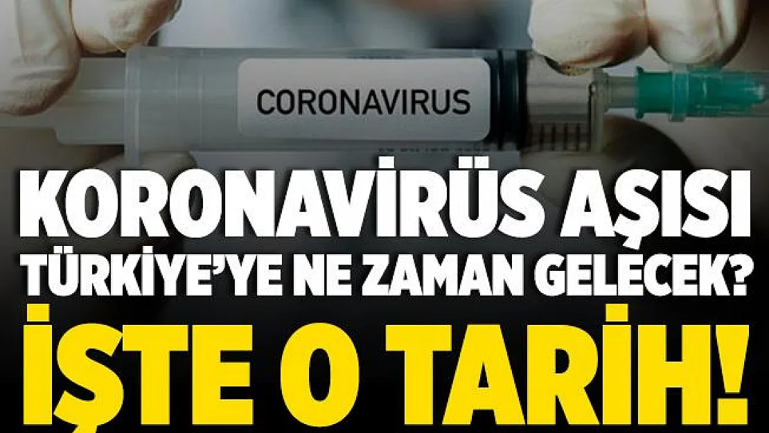 Türkiye'ye koronavirüs aşısı ne zaman gelecek? İşte o tarih!