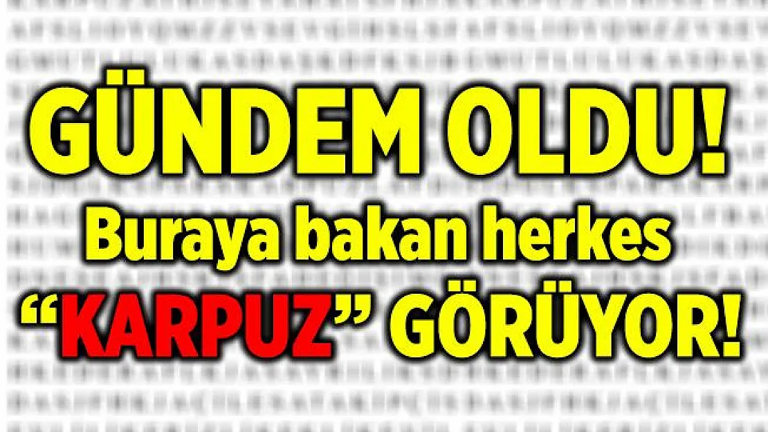 Twitter'da gündem oldu! Buraya bakan herkes ilk karpuz görüyor!