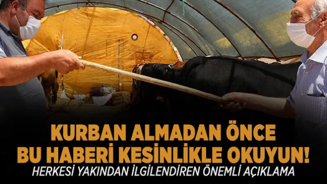 TZOB Genel Başkanı Bayraktar'dan kurban almak isteyenlere önemli uyarı! Kurban fiyatları belli oldu