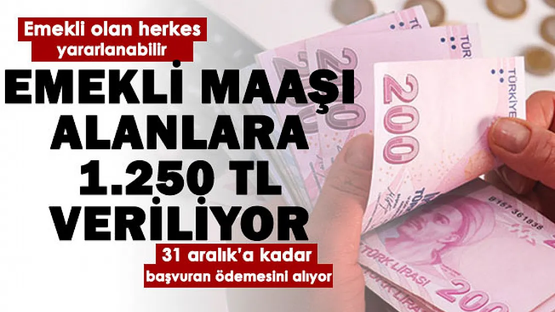 Ülkemizde emekli maaşı alan herkese 1.250 lira veriliyor! 31 Aralık'a kadar başvuru yapana veriliyor
