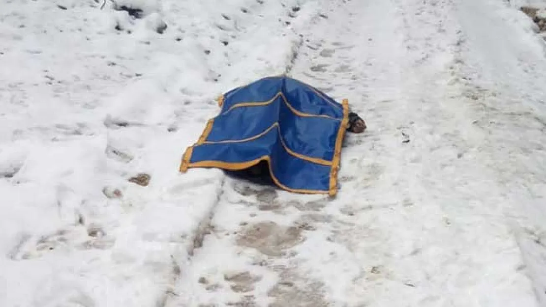 Uludağ'da Yaban Hayvanlarını Beslemek İçin Ormana Giderken Kalp Krizinden Öldü!