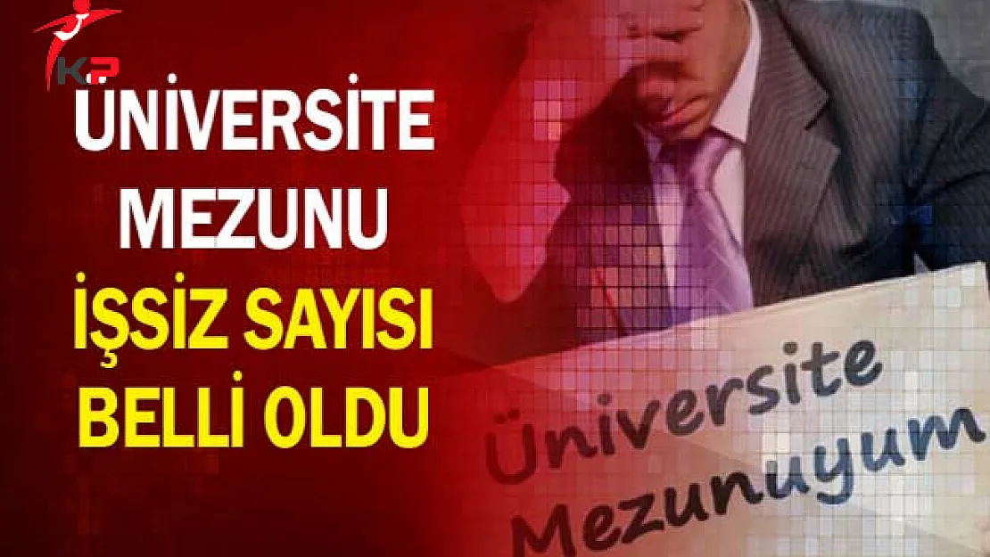 Üniversite Mezunu İşsiz Sayısı Belli Oldu