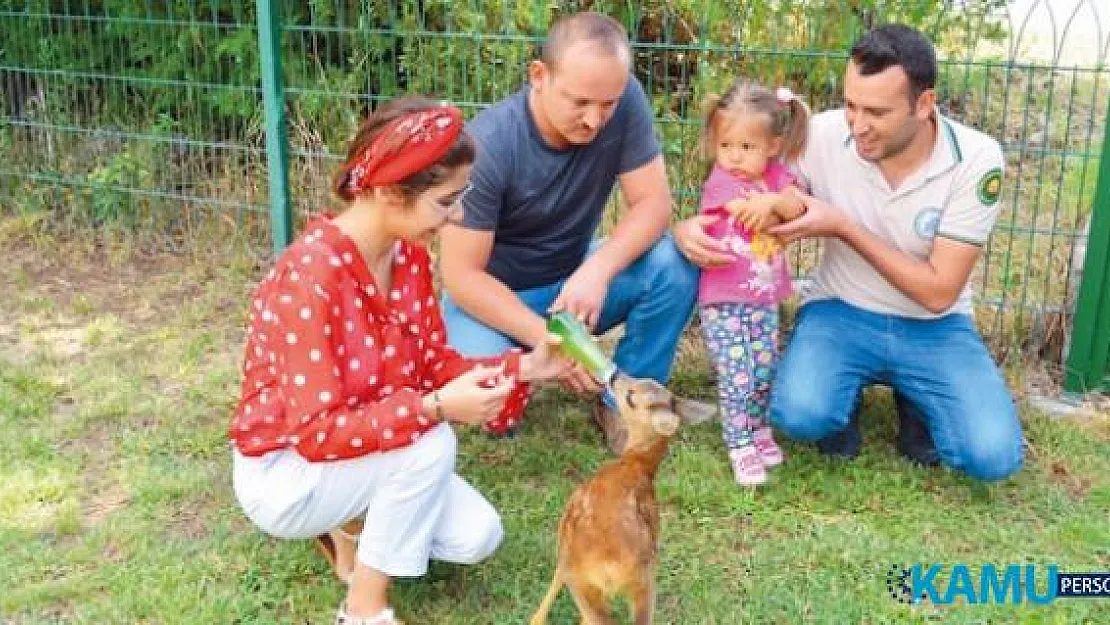Üniversite Öğrencilerine Yaz Tatillerinde İş Deneyimi
