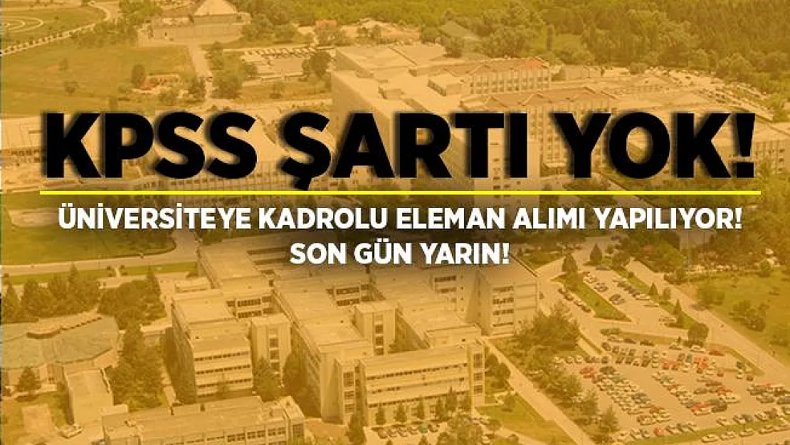 Üniversiteye kadrolu 60 personel alımı yapılıyor! KPSS şartı yok! Başvurular 29 Haziran'da sona eriyor!