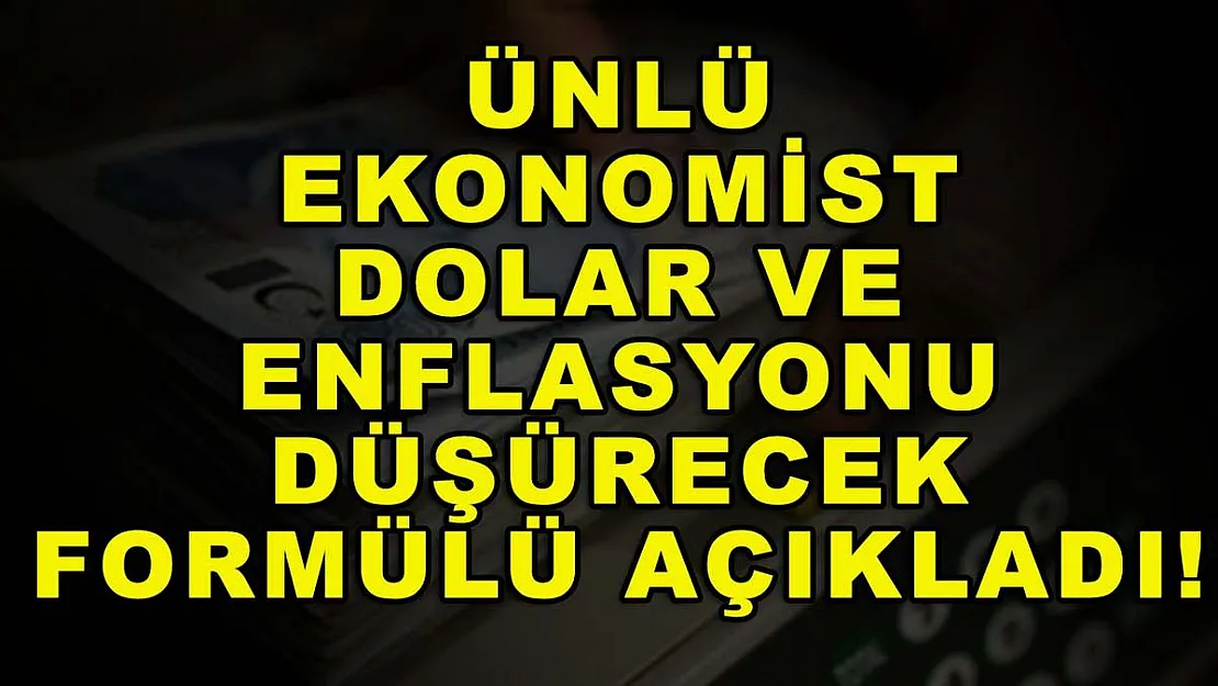 Ünlü ekonomist dolar ve enflasyonu düşürecek formülü açıkladı!
