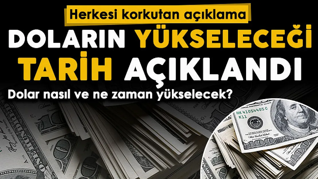 Ünlü ekonomist herkesi korkutan açıklamayı yaptı! Doların yeniden zirve yapacağı tarihi duyurdu
