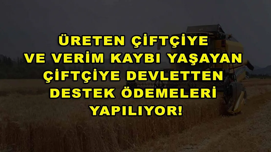 Üreten çiftçiye ve verim kaybı yaşayan çiftçiye devletten destek ödemeleri yapılıyor!