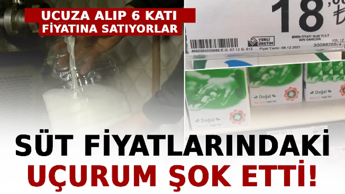 Üreticiden Ucuza Alıp 6 Katı Fiyatına Satıyorlar: Süt Fiyatlarındaki Uçurum Şok Etti!