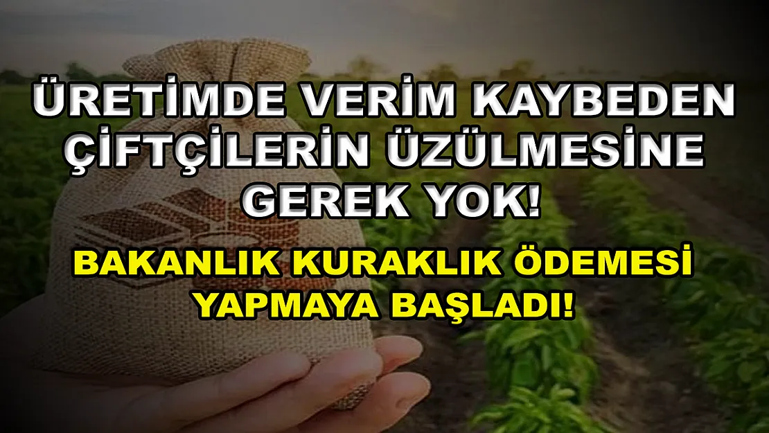 Üretimde verim kaybeden çiftçilerin üzülmesine gerek yok! Bakanlık kuraklık ödemesi yapmaya başladı!