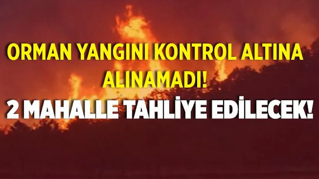 Uşak'taki orman yangını kontrol altına alınamadı! 2 mahalle boşaltılacak!