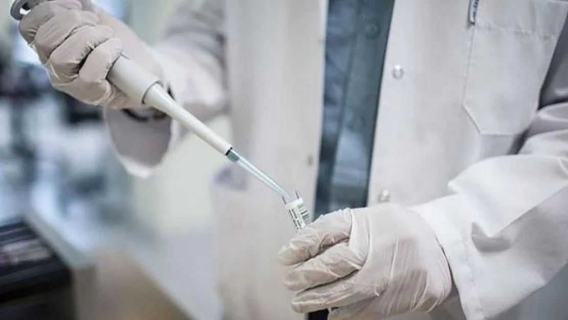 Uzman cevapladı: Koronavirüse karşı bağışıklık sistemi test edilebilir mi?