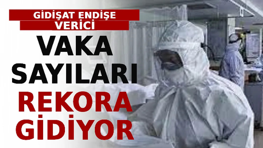 Vaka Sayıları Rekora Gidiyor! Gidişat Endişe Verici
