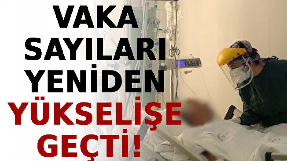 Vaka Sayıları Yeniden Yükselişe Geçti!
