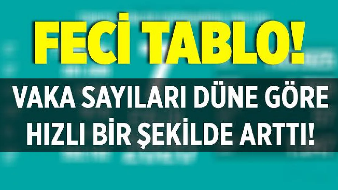 Vaka sayılarında kritik artış! Bakan Koca en çok vaka artışı olan ili açıkladı!