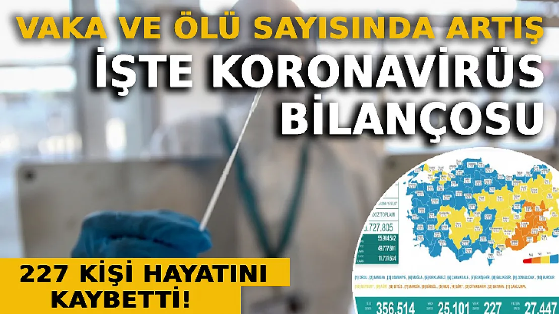 Vaka Ve Ölü Sayısında Artış Var: İşte Koronavirüs Bilançosu