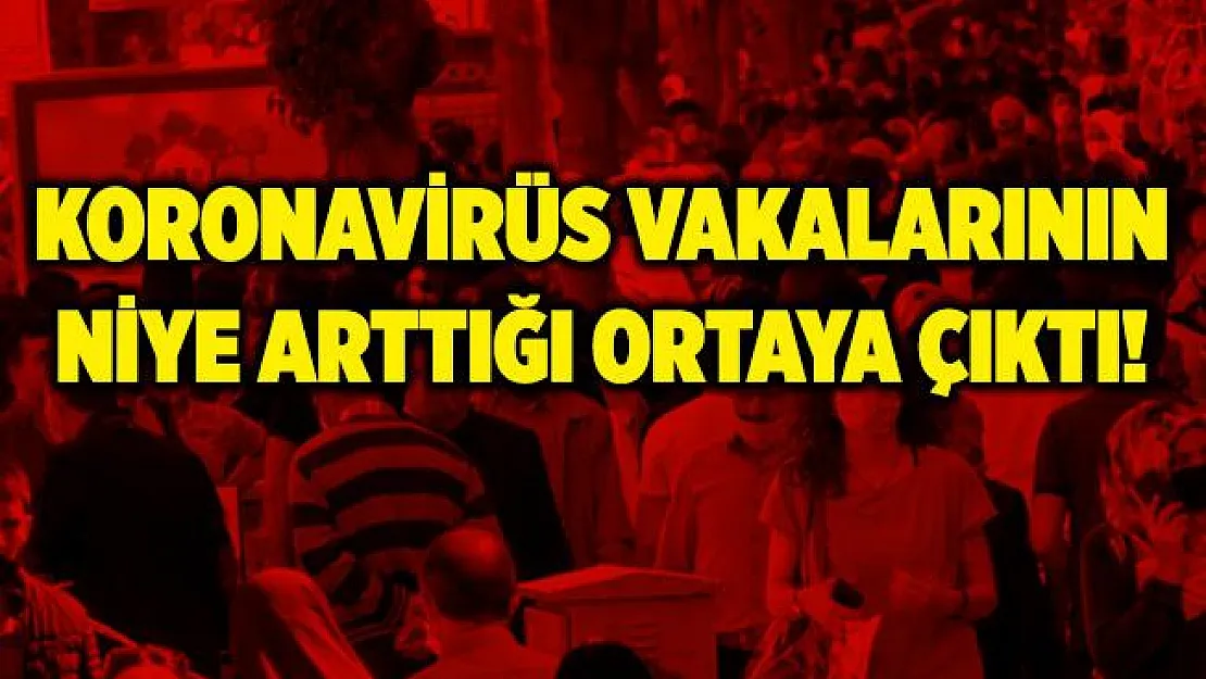 Vakaların niye arttığı ortaya çıktı! Bilim Kurulu Üyesi açıkladı!