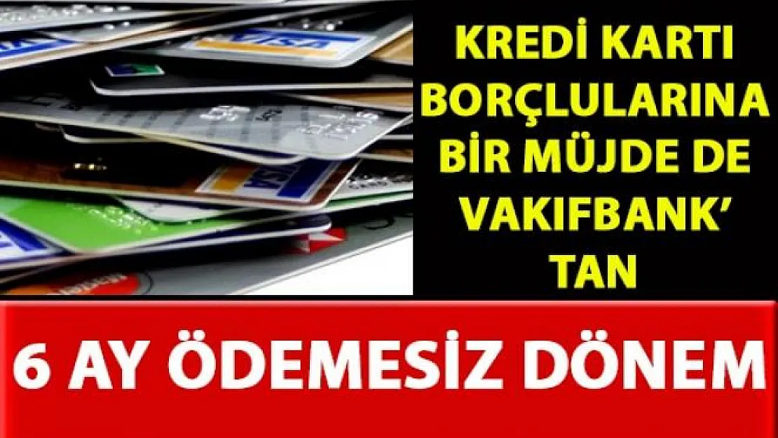 VakıfBank 'Kredi kartı borç yapılandırma' projesi kapsamında 6 ay ödemesiz dönem başlıyor
