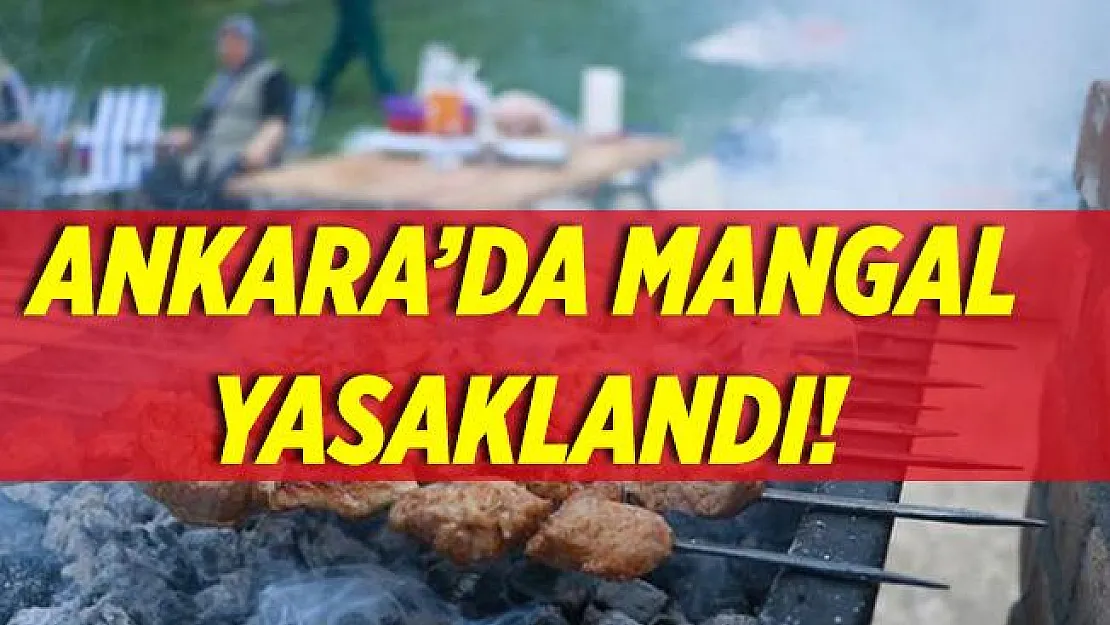 Valilikten son dakika açıklaması! Ankara'da mangal yasaklandı!