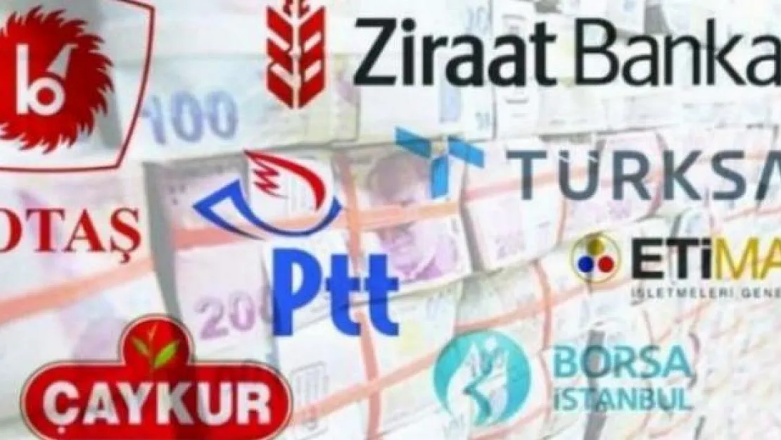 Varlık Fonu denetim raporları Meclis'ten kaçırıldı mı?
