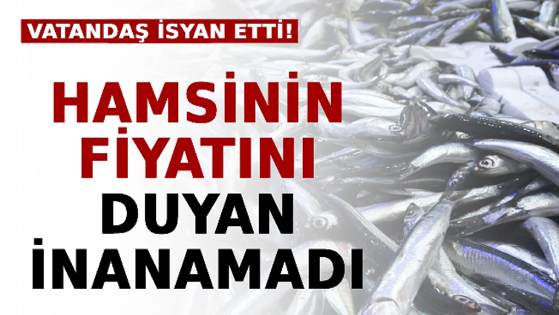 Vatandaş İsyan Etti! Hamsinin Fiyatını Duyan İnanamadı