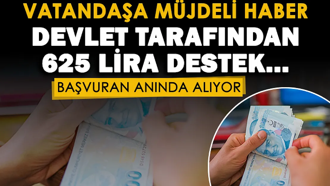 Vatandaşlara müjdeli haber! Devlet 625 lira destek ödemesi yapıyor