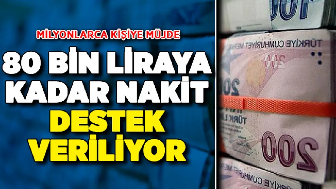 Vatandaşlara Sıfır Faizli 80 Bin Lira Kredi Veriliyor ! İş Başvuru Detayları