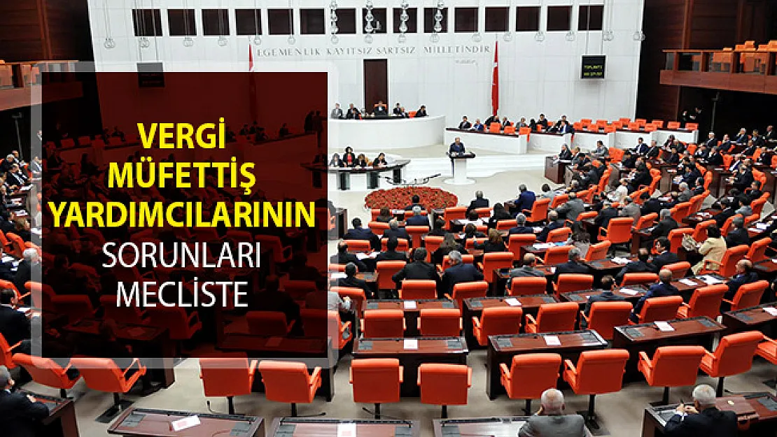 Vergi Müfettiş Yardımcılarının Yeterlik Sorunu Meclis Gündeminde