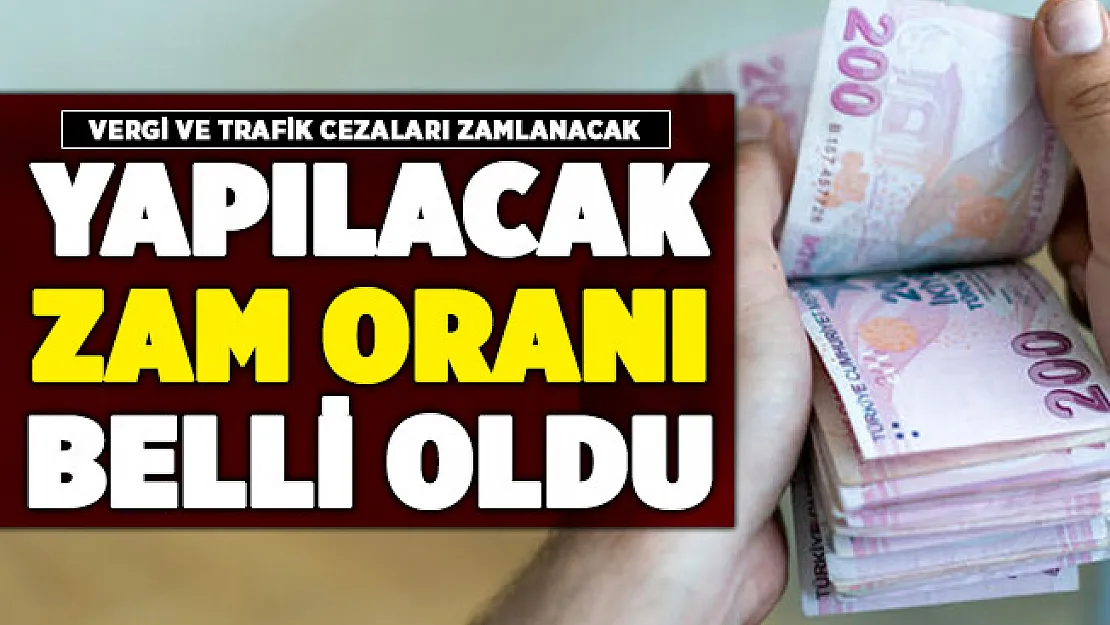 Vergi ve trafik cezalarına yapılacak olan zam oranı belli oldu!