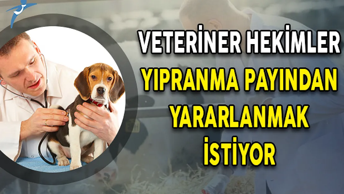 Veteriner Hekimler Yıpranma Payından Yararlanmak İstiyor!