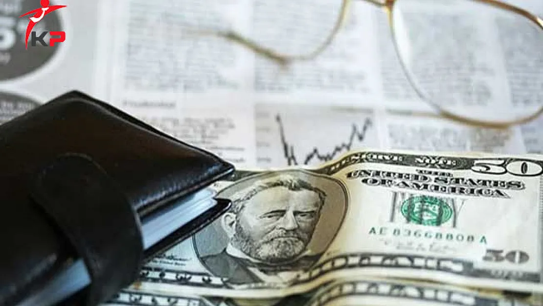 Vize Krizi Ekonomiyi Vurdu... Dolar ve Euro'da Tarihi Rekor !