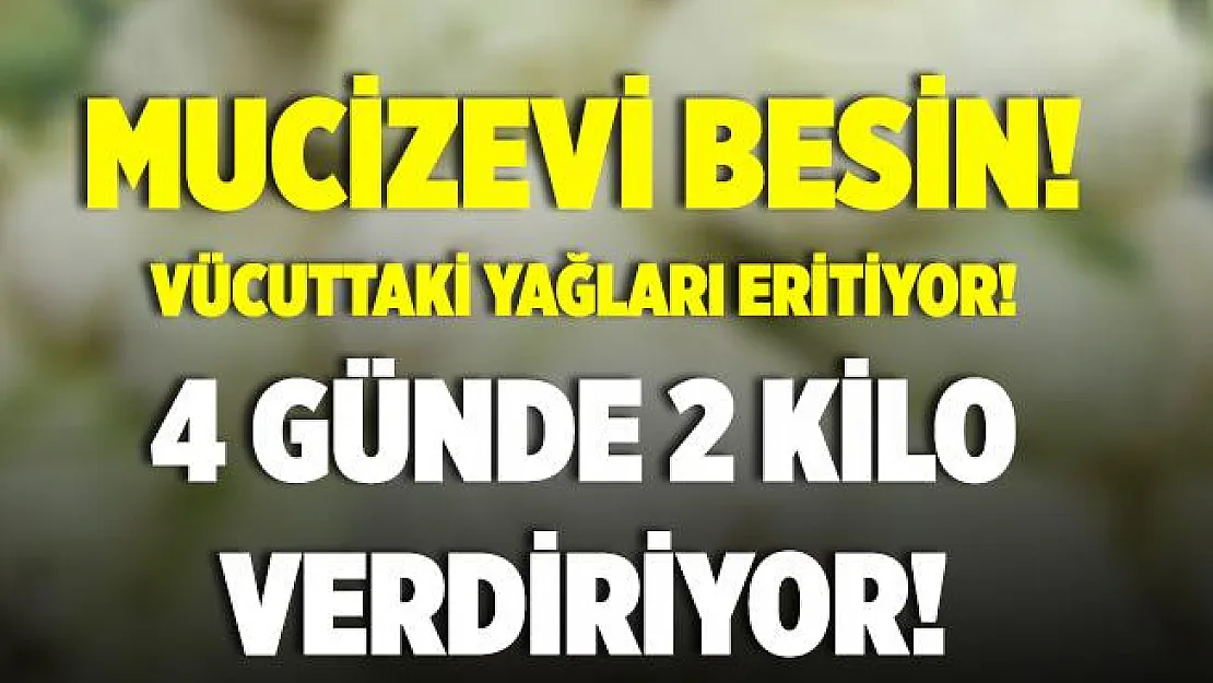 Vücuttaki yağları eritiyor! 4 günde 2 kilo verdiren diyet..