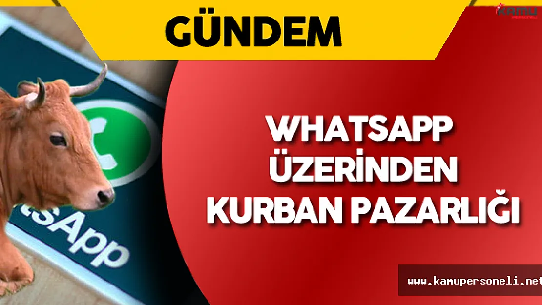 Whatsapp Üzerinden Kurban Seçimi ve Pazarlığı Yapıyorlar