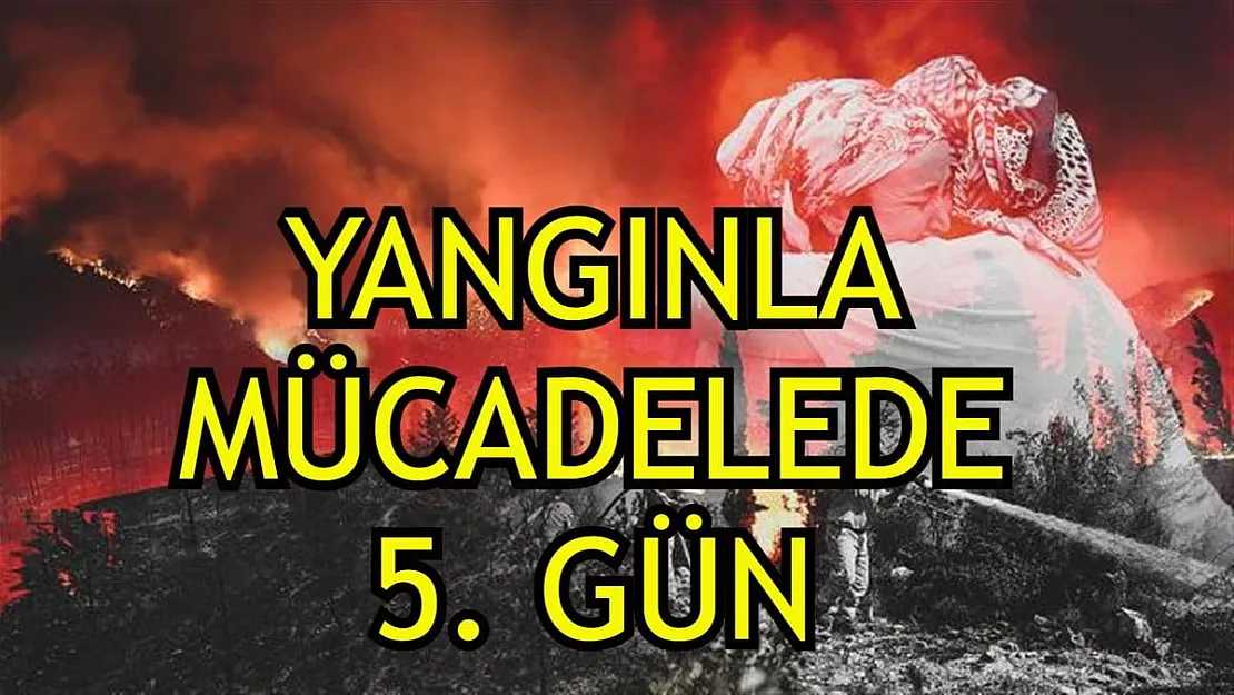 Yangınla mücadelede 5. gün: Can kaybı 7'ye yükseldi, 107 yangın kontrol altında