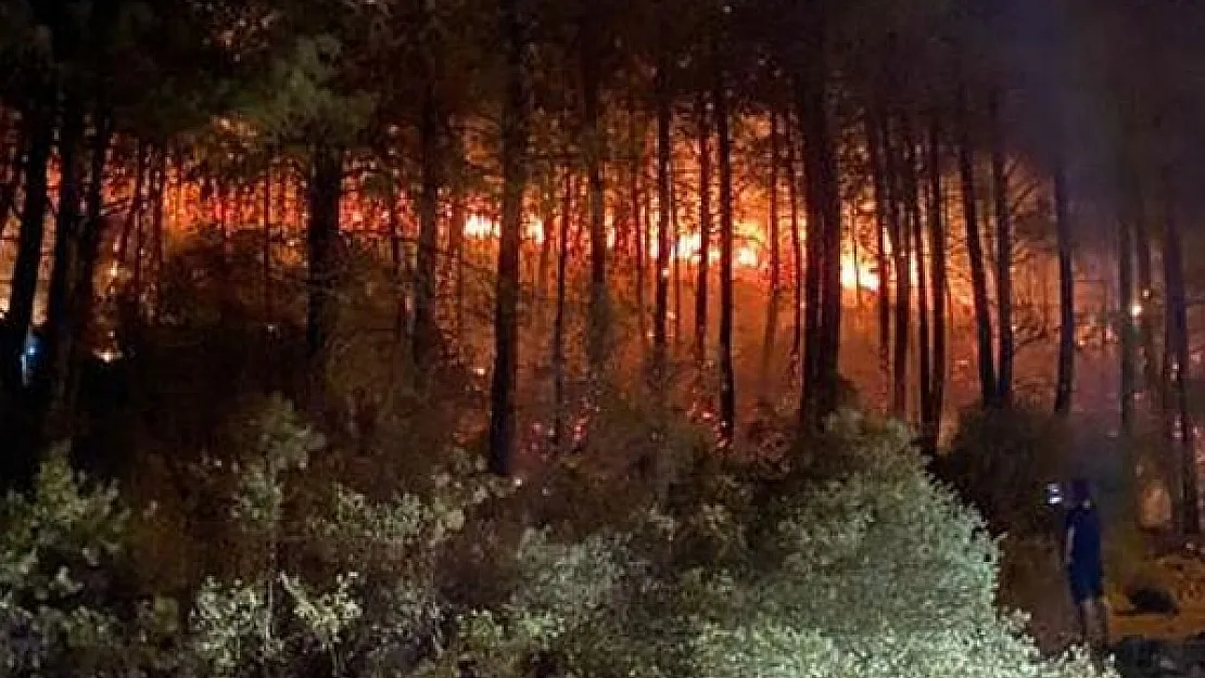 Yangınlarla ilgili son dakika detay! Sabotaj..