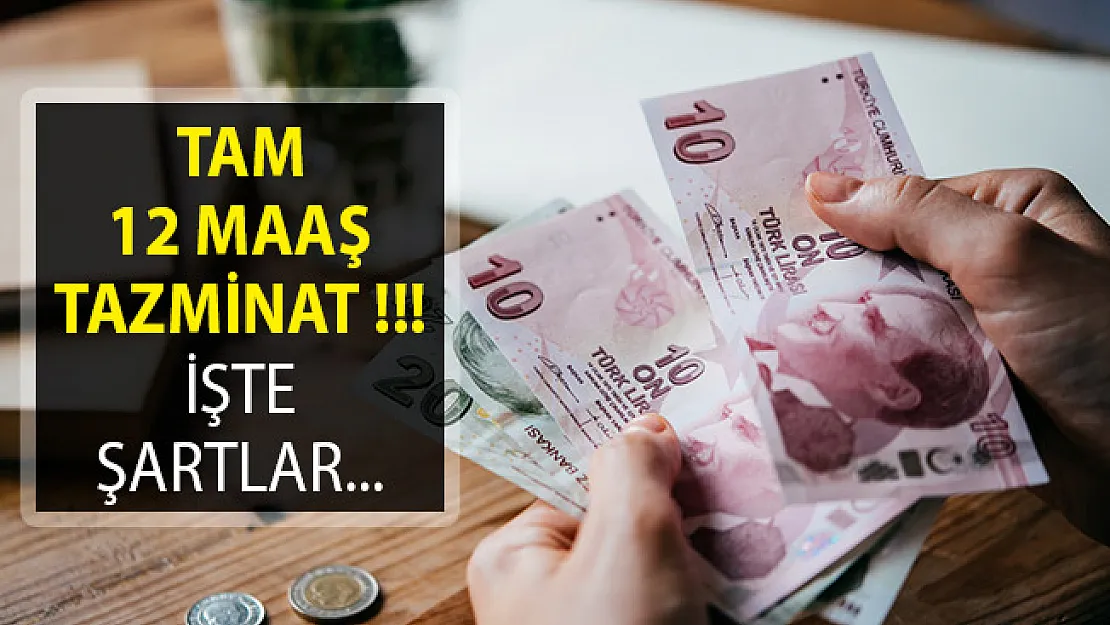 Yargıtay'dan Flaş Karar! Bu Sebepten İşinden Kovulana 12 Maaş Tazminat