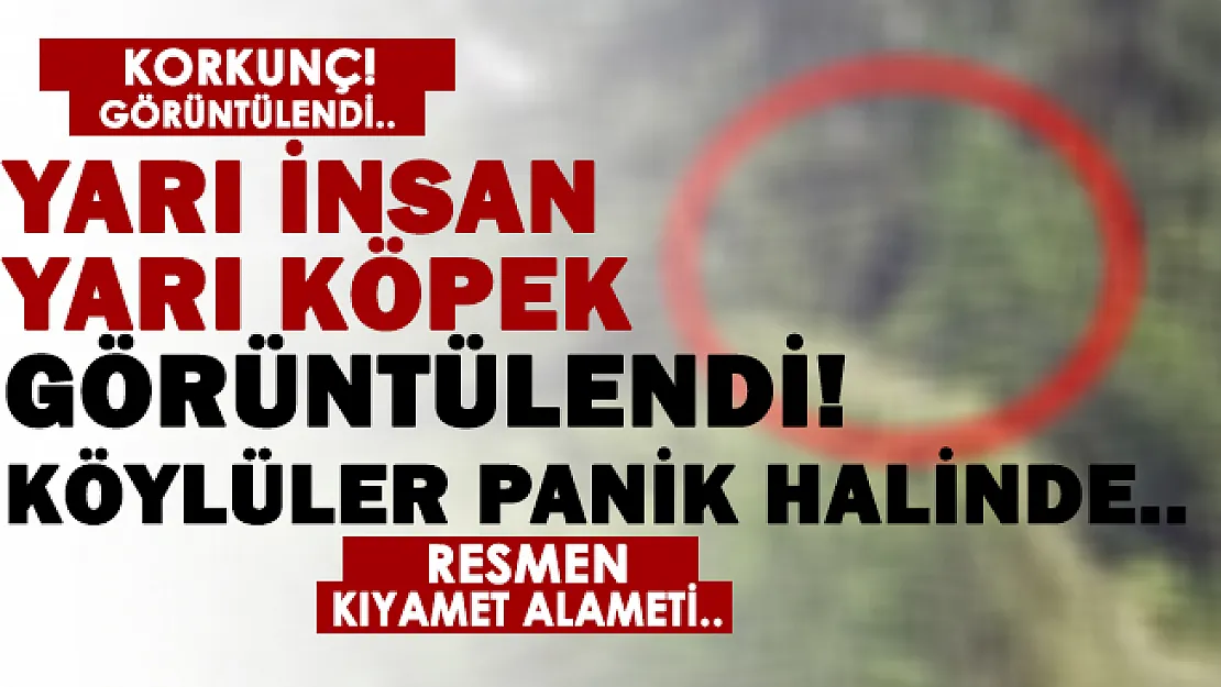 Yarı insan yarı köpek büyük korku yarattı! Gören gözlerine inanamıyor! Kıyamet..