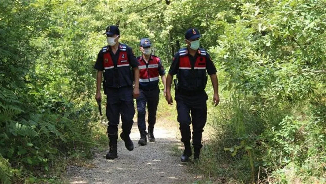 Yasak kararları peş peşe alınıyor: Bir ilimizde daha Eylül ayının sonuna kadar tamamen yasaklandı!
