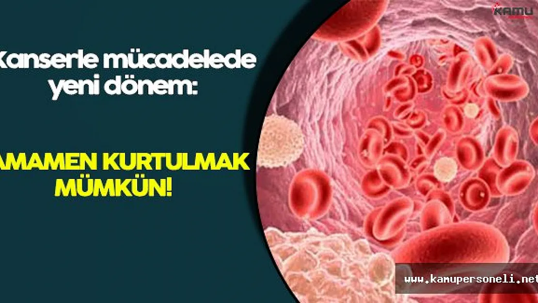 Yeni Dönem Başlıyor: Karaciğer Kanserinden Tamamen Kurtulmak Mümkün!