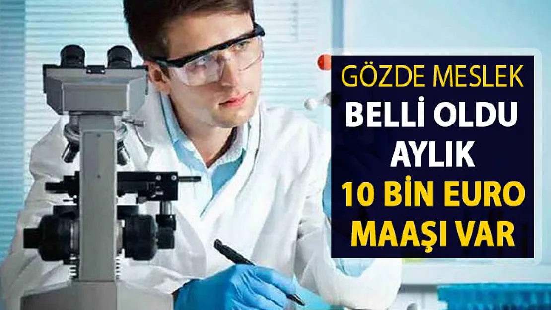 Yeni Gözde Meslek Belli Oldu ! Aylık 10 Bin Euro Maaşı Var