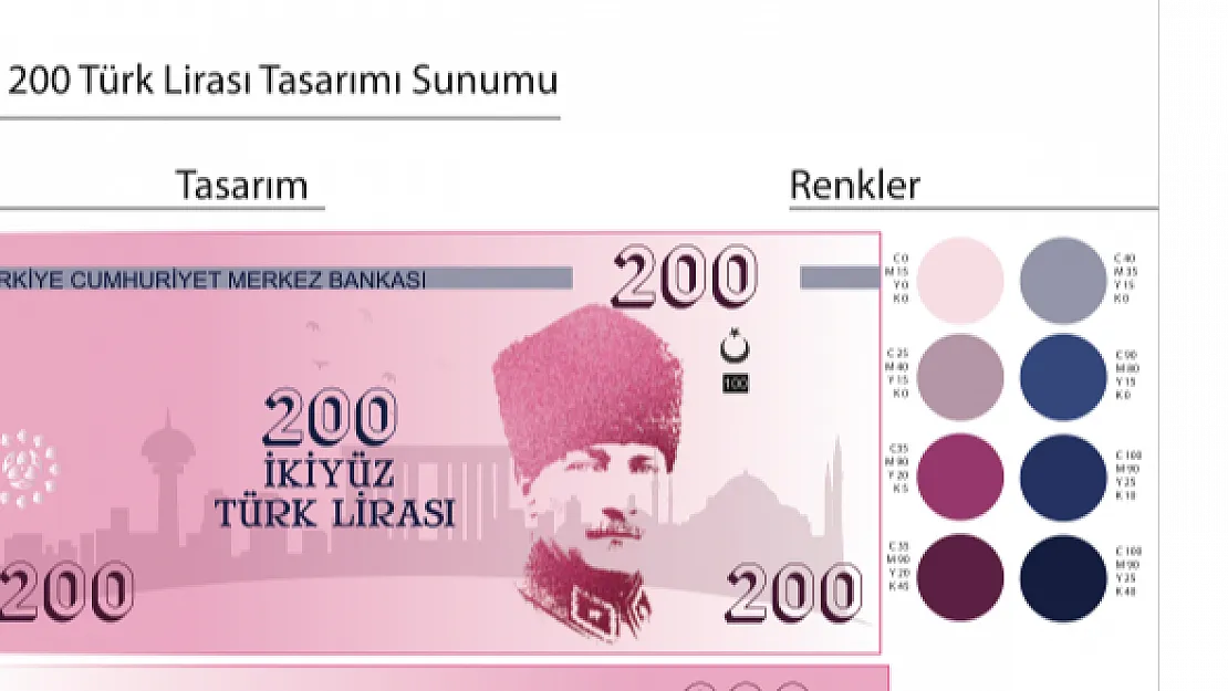 Yeni Türk Lirası Tasarımları Gündeme Geldi ! İşte TL'de Yeni Tasarımlar