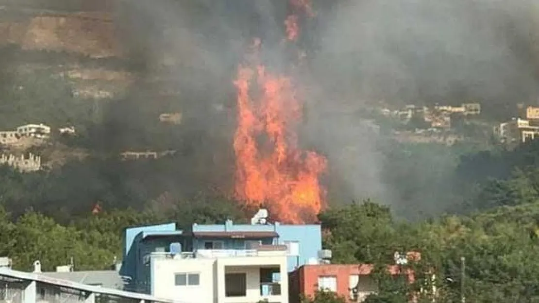 Yerleşim yerlerine yaklaşan orman yangını hakkında flaş gelişme! Bakan Pakdemirli duyurdu