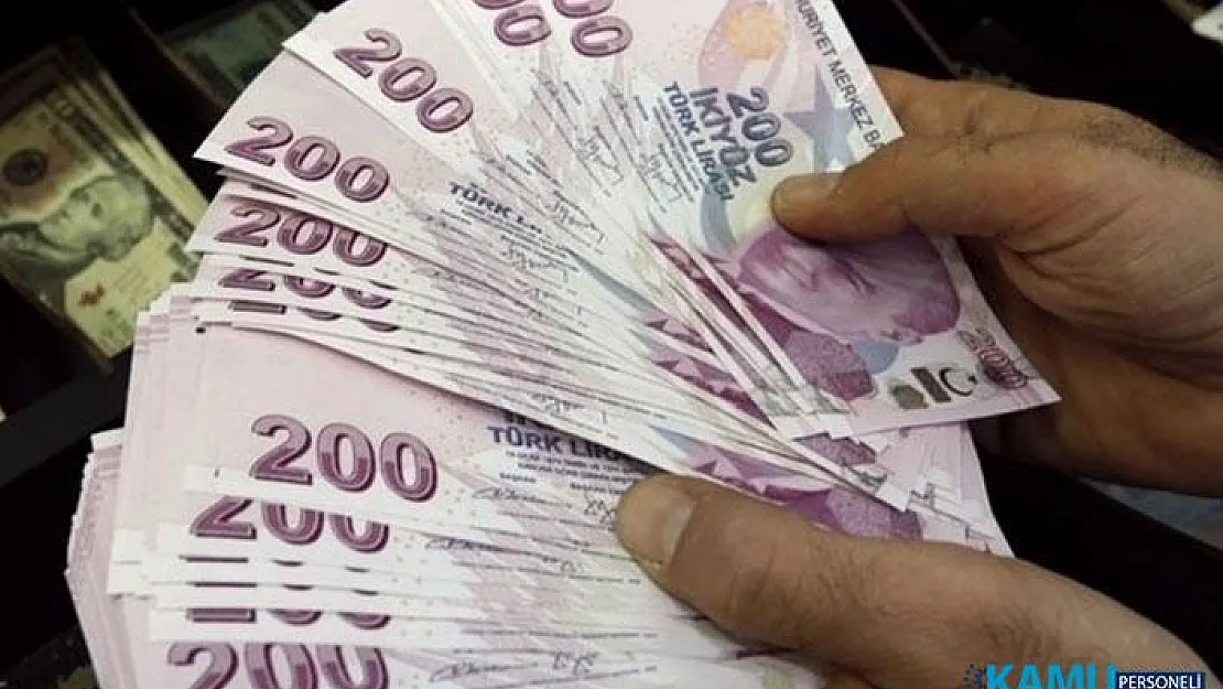 Yılda 1 Defa Toplanıyor! Kilosu 120 TL'den Satılıyor