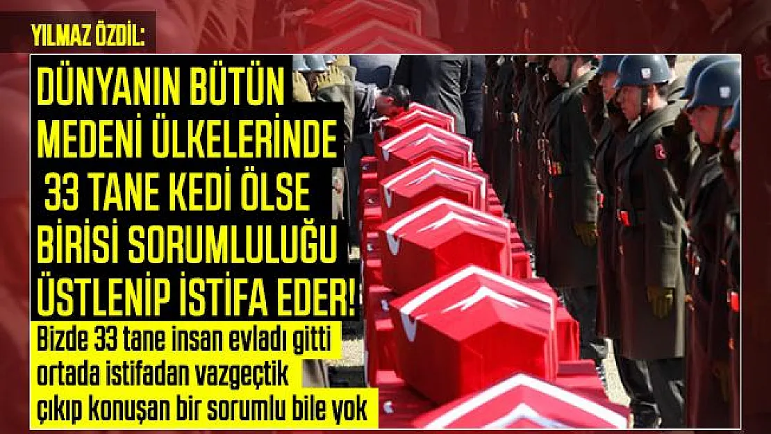 Yılmaz Özdil isyan etti: Dünyanın bütün medeni ülkelerinde 33 tane kedi ölse birisi sorumluluğu üstlenip istifa eder!