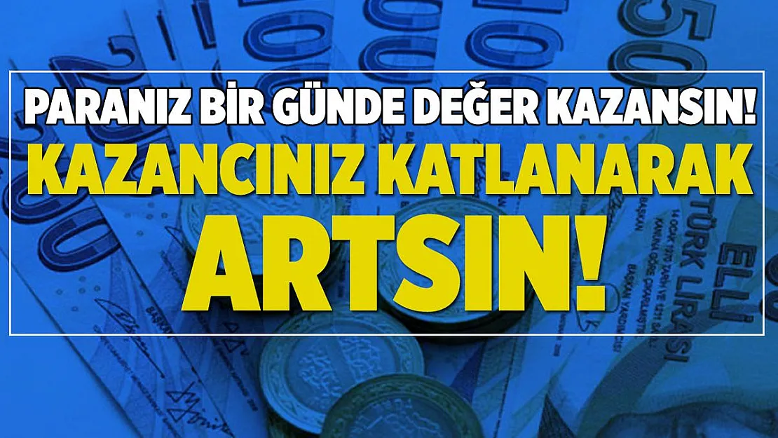 Yüksek faiz oranları sayesinde paranız bir günde değer kazansın! Kazancınız katlanarak artsın!