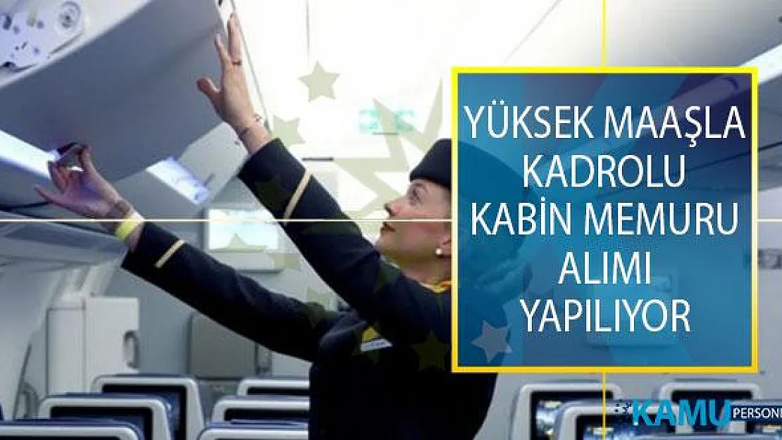 Yüksek Maaşla Kadrolu Kabin Memuru Alımı İçin Yeni İş İlanları Yayımlandı!