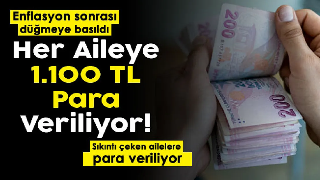 Yükselen enflasyon sonrası devlet düğmeye bastı! e-Devletten başvuru yapan her aileye 1.100 TL veriliyor