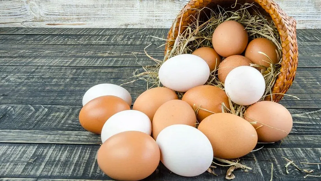Yumurta Fiyatları Soruşturmasında Flaş İtiraflar!  Rekabet Kurulu Başkanı Tek Tek Açıkladı